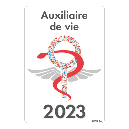 CaducéeAuxiliaire de vie 2023 Fantaisie Made in France CaducéeAuxiliaire de vie 2023 Fantaisie Made in France