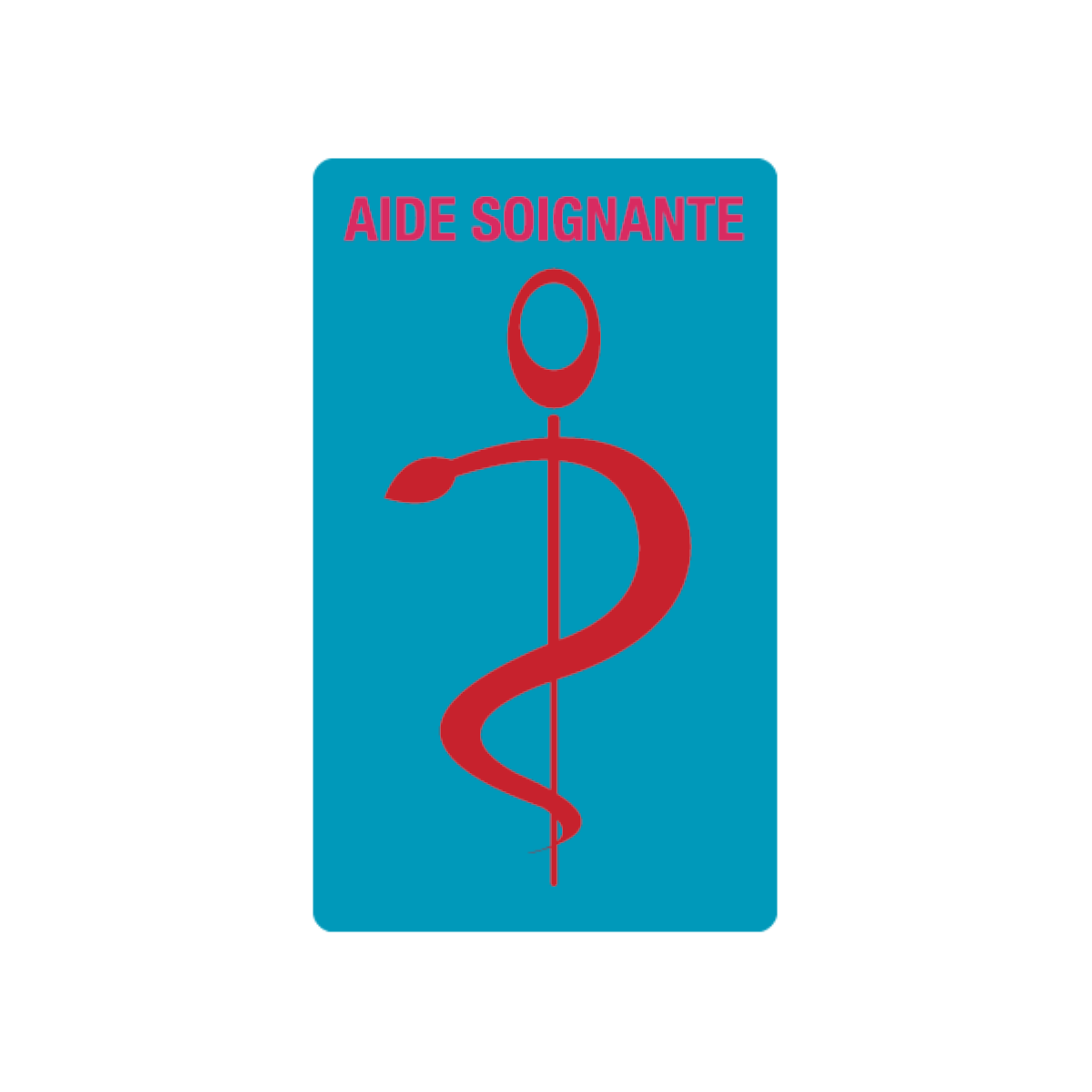 caducee-aide-soignante-personnalisable acheté - par Tatiana - le 28-02-2023